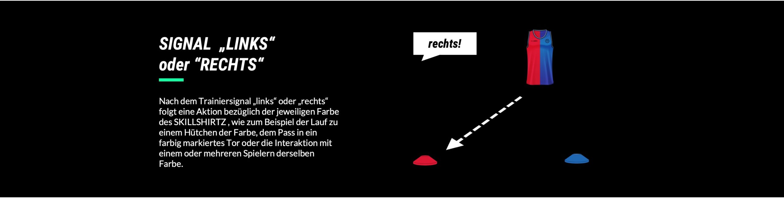 methodik_signal_seite